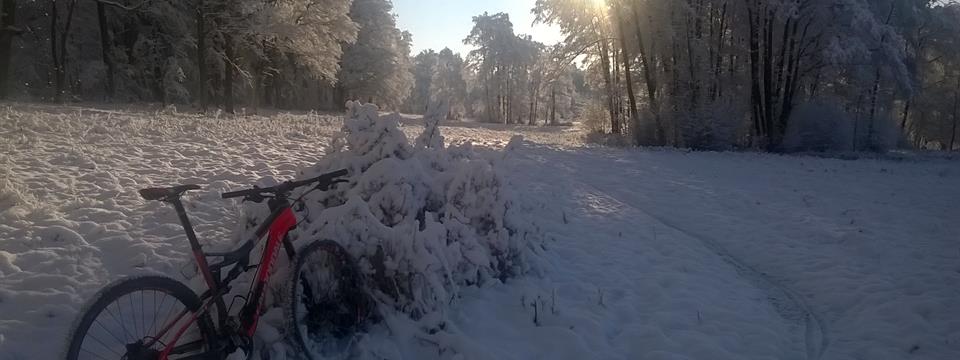 Upravené  OTVÁRACIE HODINY