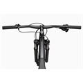 CANNONDALE Trail 29" Sl 4