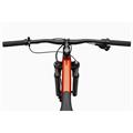 CANNONDALE Trail 29" Sl 4