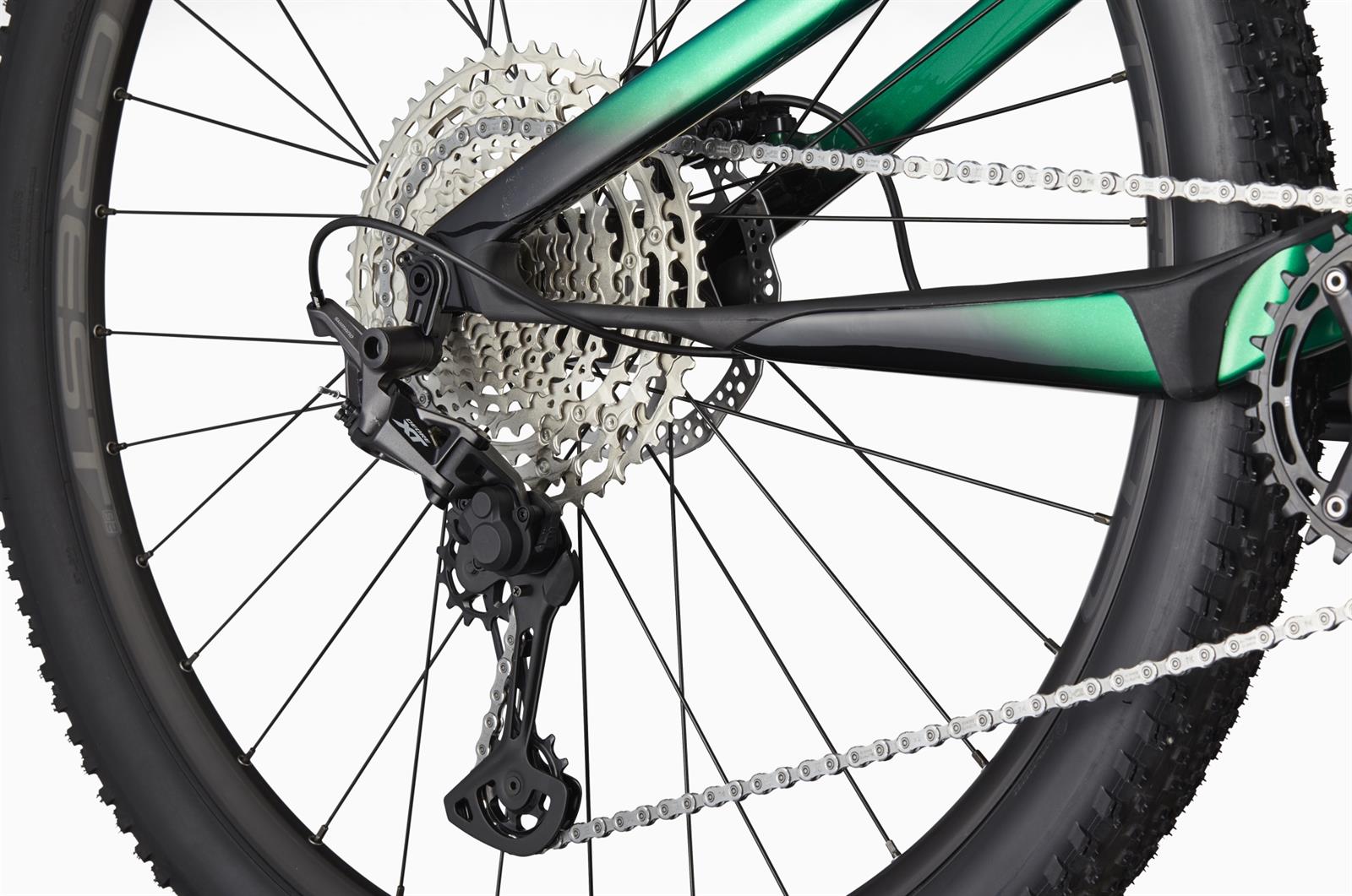 CANNONDALE Scalpel 29" Carbon 4