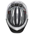 UVEX True Black-silver (s4100530500)