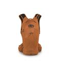 OSPREY Raptor 10 Orange Sunset 