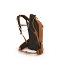 OSPREY Raptor 10 Orange Sunset 