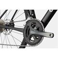 CANNONDALE Synapse Carbon 4 (2025)