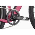 CANNONDALE Topstone Carbon Apex Axs