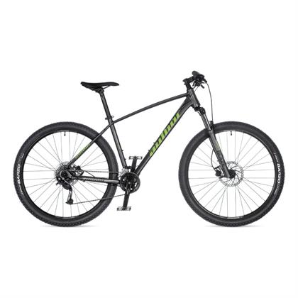 Pegas 29"
