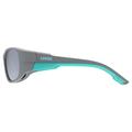 UVEX Sportstyle 514 Grey Matt/mir. Silver (s5330655716)