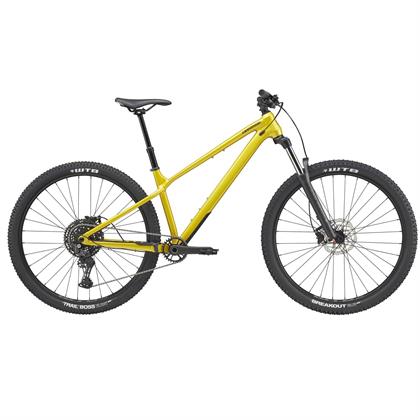 Habit Ht 2