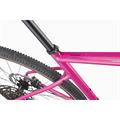 CANNONDALE Topstone 2 1x (2025)