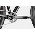 CANNONDALE Trail 2