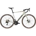 CANNONDALE Synapse Carbon 4 (2026)
