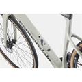 CANNONDALE Synapse Carbon 4 (2026)