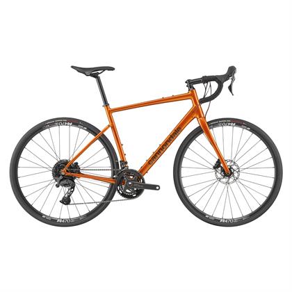Synapse 2