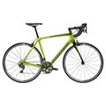 CANNONDALE Synapse Carbon Ultegra (2018)