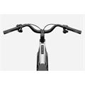 CANNONDALE Flyingv 1