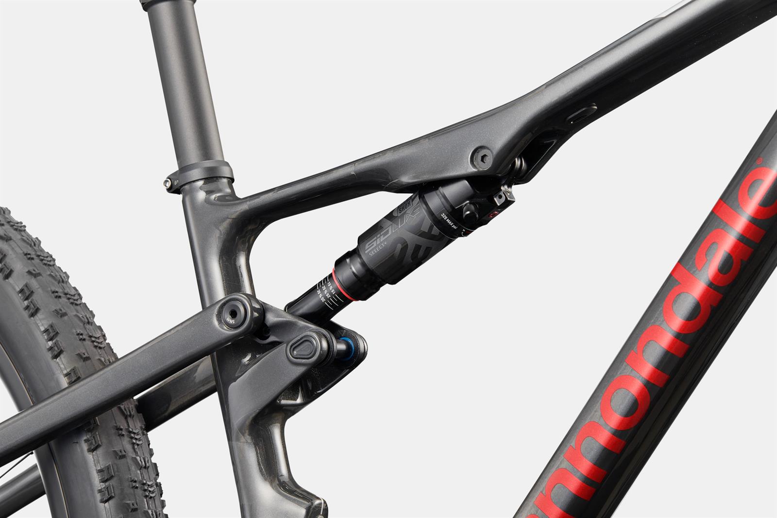 CANNONDALE Scalpel 29" Carbon 1