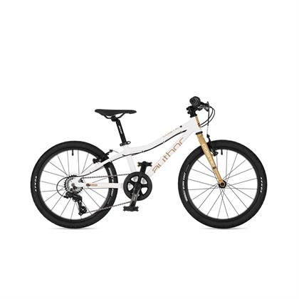 Cosmic 20"