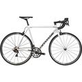 CANNONDALE Caad 12 Ultegra (2018)