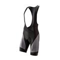 CANNONDALE Kraťasy Endurance Bib Shorts (2015)