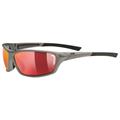 UVEX Sportstyle 210