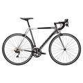 CANNONDALE Caad Optimo 105 (2019)
