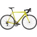 CANNONDALE Caad 12 Ultegra (2019)