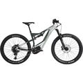 CANNONDALE Moterra Neo 1 Power Tube (2019)