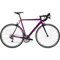 CANNONDALE Caad 12 Ultegra (2019)